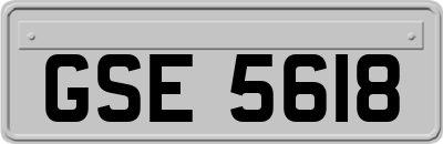GSE5618