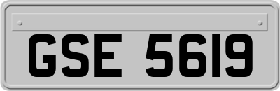 GSE5619