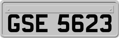 GSE5623