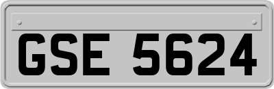 GSE5624