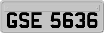 GSE5636