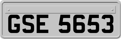GSE5653