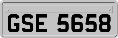 GSE5658