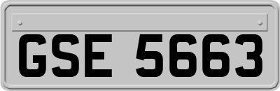 GSE5663