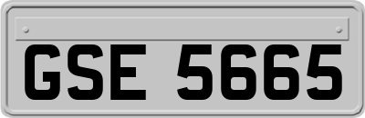 GSE5665