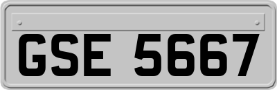GSE5667
