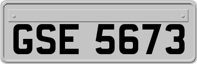 GSE5673