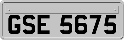 GSE5675