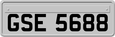 GSE5688