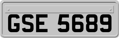 GSE5689