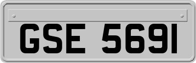 GSE5691