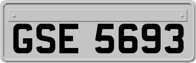 GSE5693