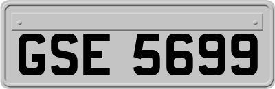 GSE5699