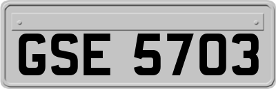 GSE5703