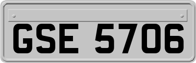 GSE5706