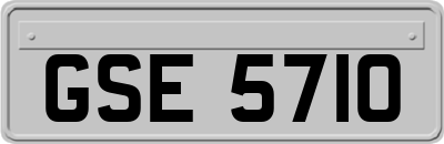 GSE5710