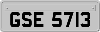 GSE5713