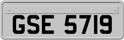 GSE5719