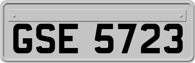 GSE5723