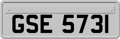 GSE5731