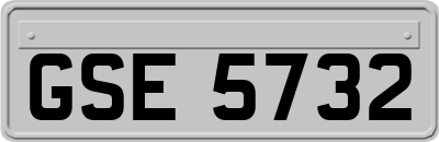 GSE5732