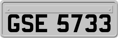 GSE5733