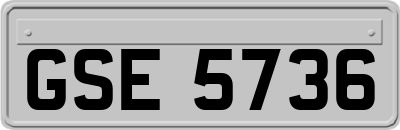 GSE5736