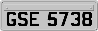 GSE5738