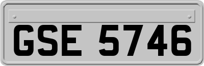 GSE5746
