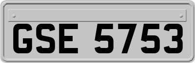 GSE5753