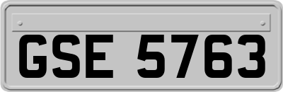 GSE5763