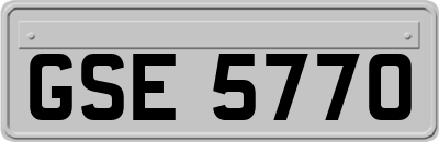 GSE5770