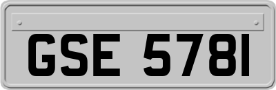 GSE5781