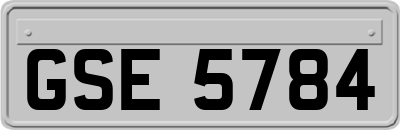 GSE5784
