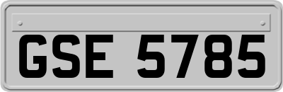 GSE5785