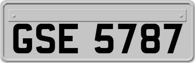 GSE5787