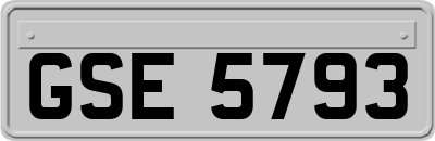GSE5793
