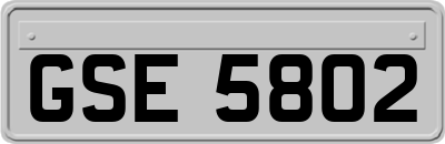 GSE5802