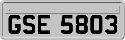 GSE5803
