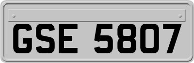 GSE5807