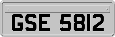 GSE5812