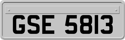 GSE5813