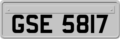 GSE5817