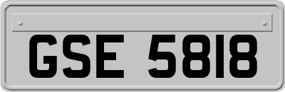 GSE5818
