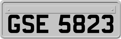 GSE5823