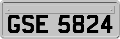 GSE5824