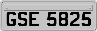 GSE5825