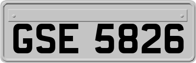 GSE5826