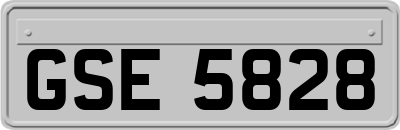 GSE5828