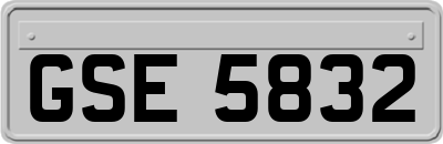 GSE5832